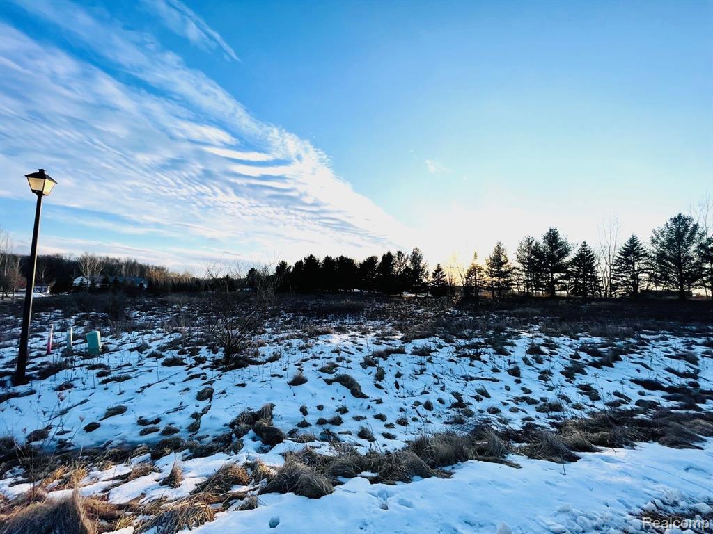 Lot 6 Sleeping Meadow, Mason, MI 48854 — Photo 2