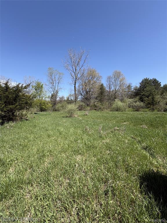 Parcel 2 Pineway Trail, Howell, MI 48855 — Photo 8