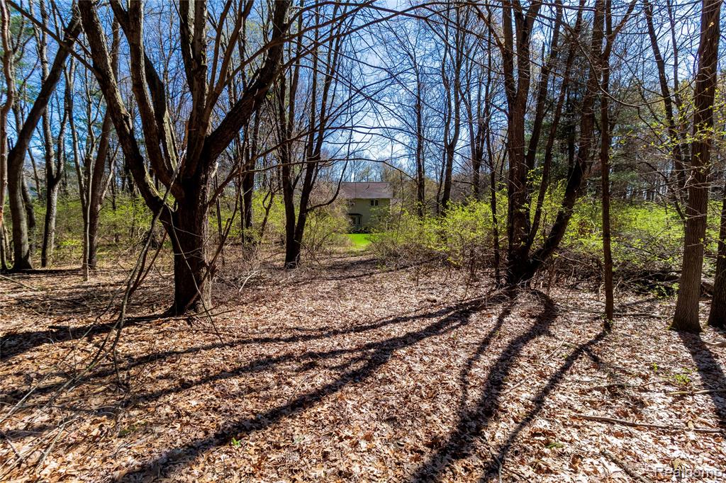 4450 Blood Road, Metamora, MI 48455 — Photo 61