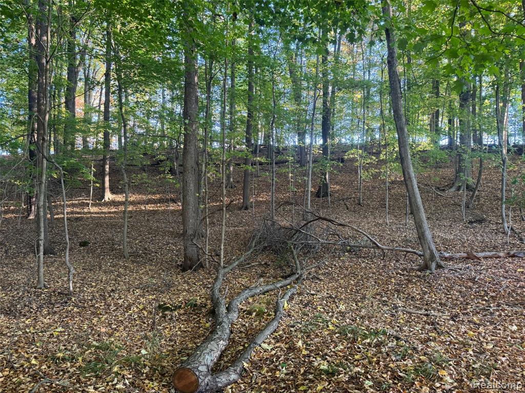 VL Rock Valley Road, Metamora, MI 48455 — Photo 3