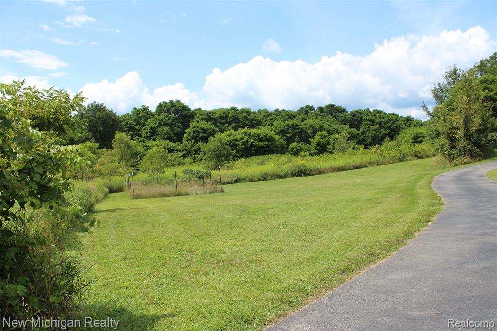 9695 BRUMM RIVER Drive, Nashville, MI 49073 — Photo 3