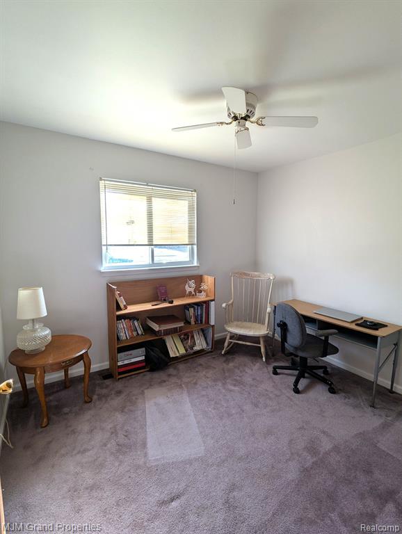 9264 CHAMBERLAIN Street, Romulus, MI 48174 — Photo 14