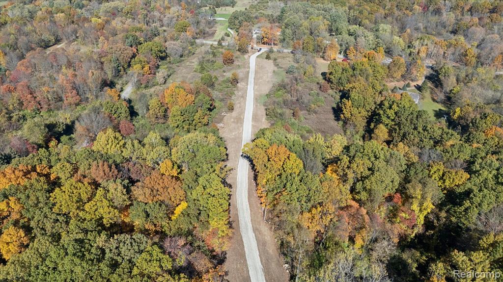 Parcel 1 E Coon Lake Rd, Howell, MI 48843 — Photo 5