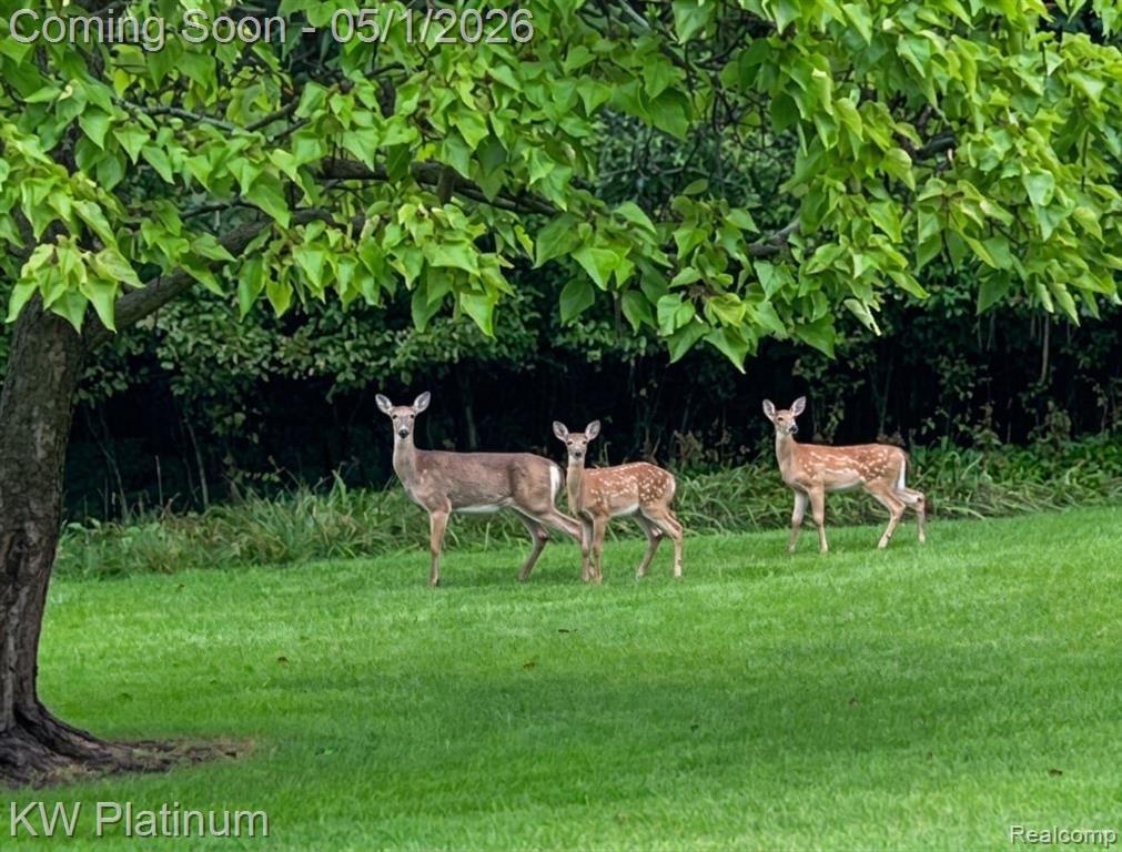 26050 Irwin Road, Richmond, MI 48062 — Photo 44