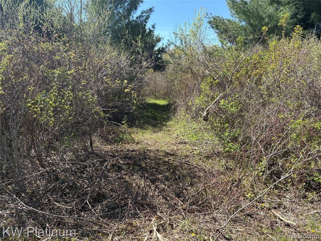 Parcel B Wicha Drive, Burtchville, MI 48059 — Photo 2