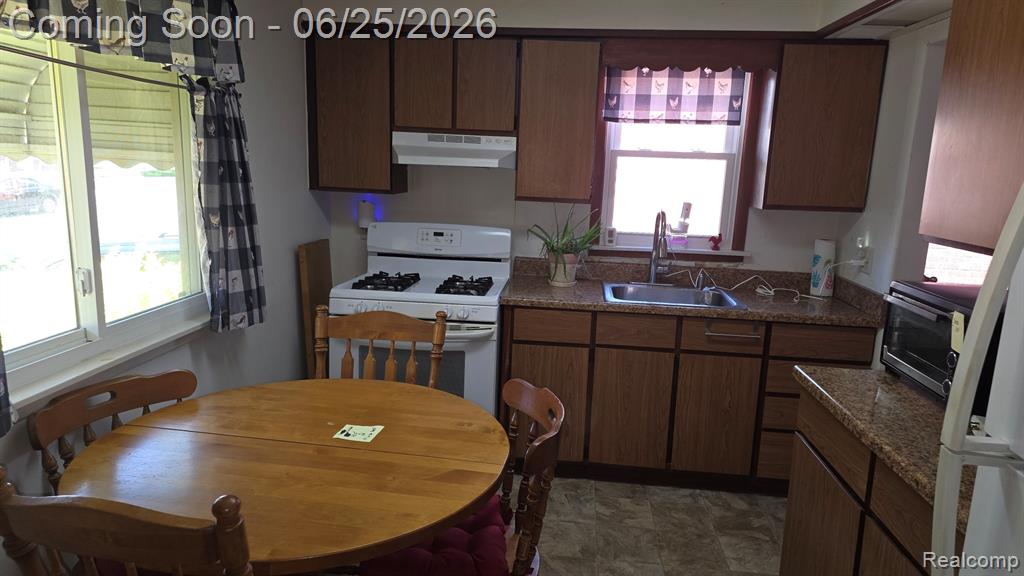 742 Mayflower Avenue, Lincoln Park, MI 48146 — Photo 7