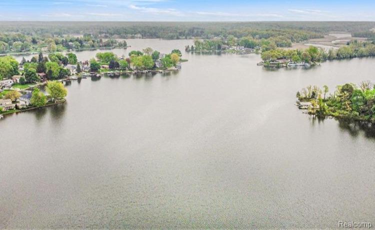 8461 Woodland Shore Drive, Brighton, MI 48114 — Photo 20