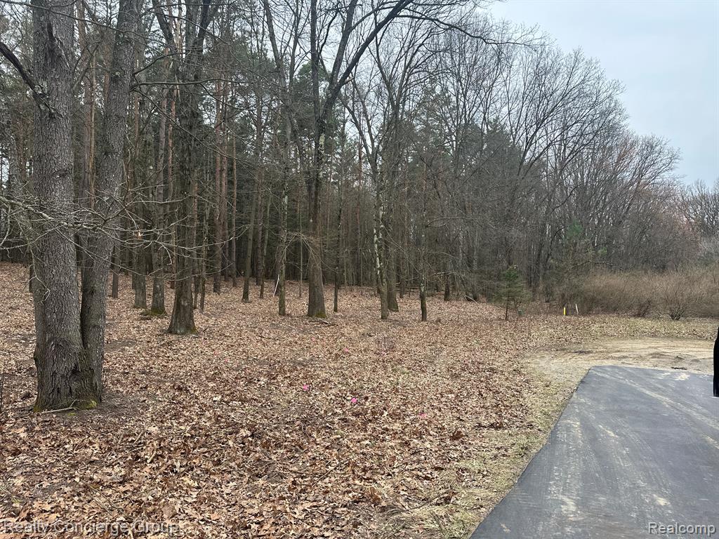 7165 SANCTUARY Drive, Jackson, MI 49201 — Photo 14