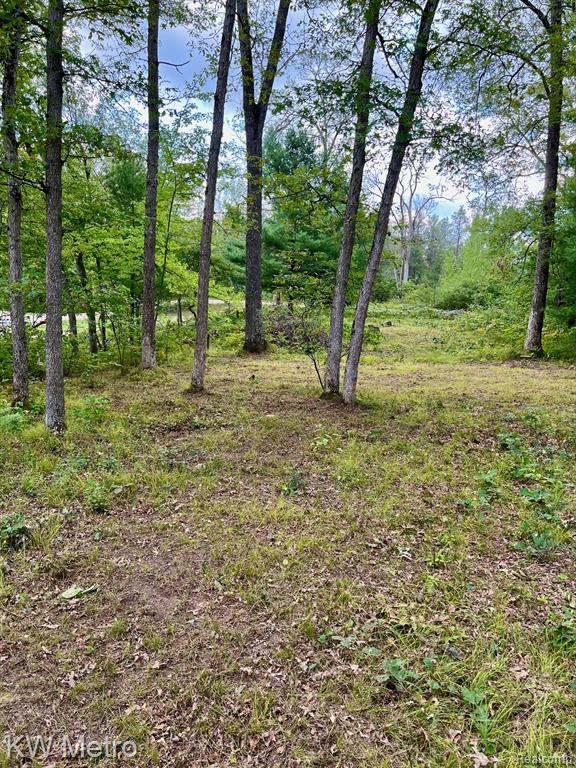 6629 S Tampa, Idlewild, MI 49642 — Photo 8
