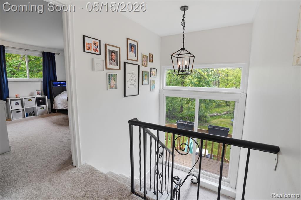 47129 Dunsany Road, Northville, MI 48167 — Photo 19