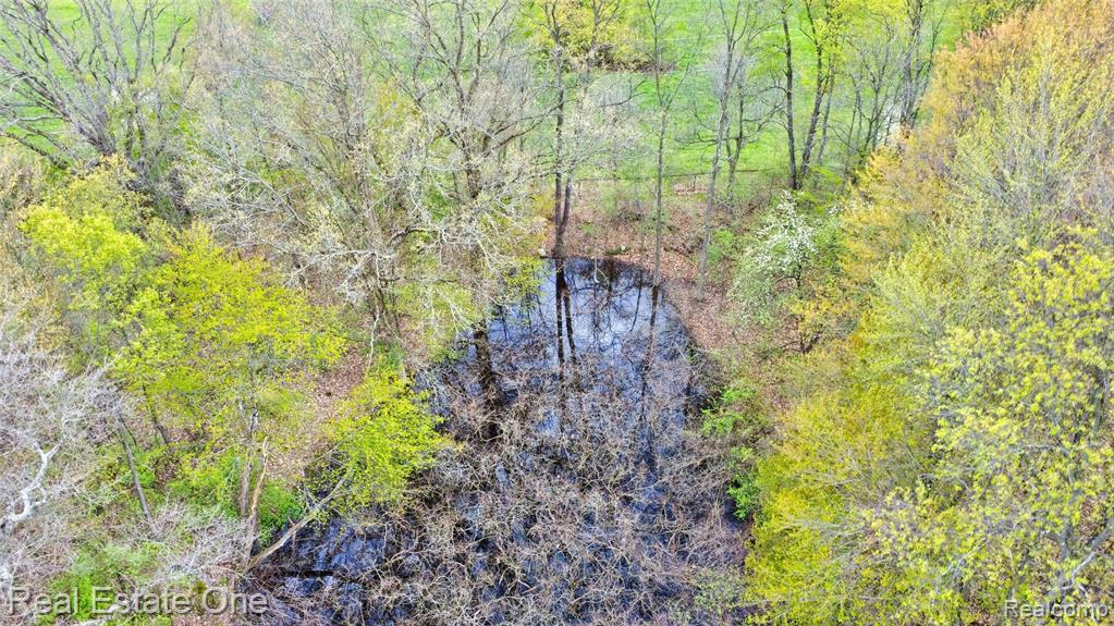 590 Judi Ann Lane, Holly, MI 48442 — Photo 15