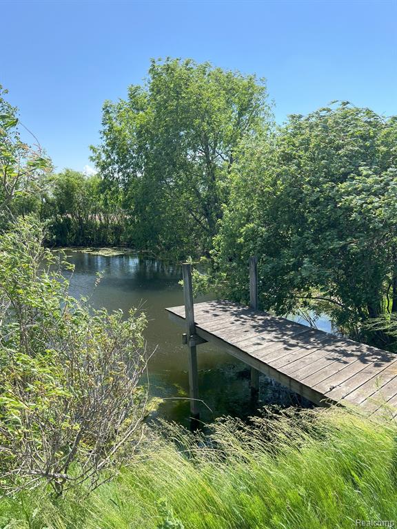 12075 PEET Road, Chesaning, MI 48616 — Photo 14
