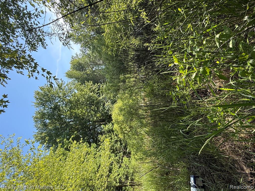 5400 Snow Den Trail, Columbiaville, MI 48421 — Photo 23
