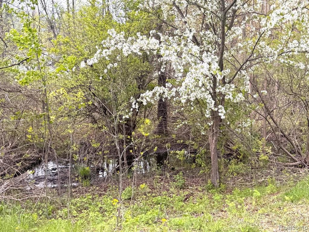 2325 Mertz Road, Caro, MI 48723 — Photo 9
