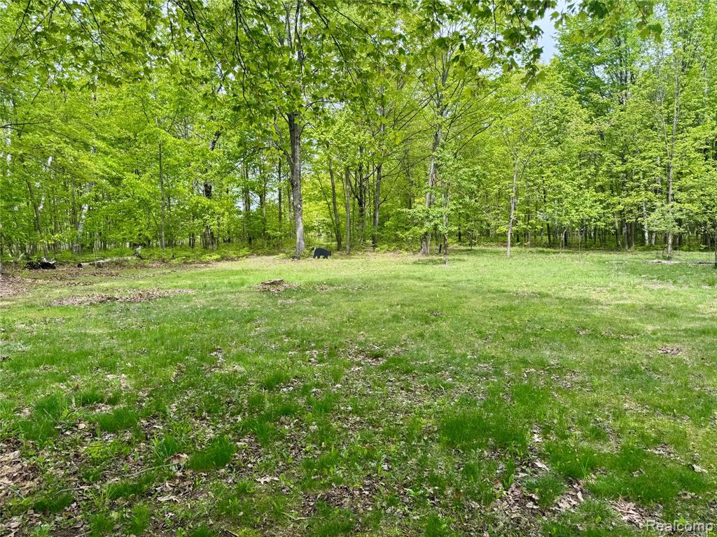 499 E Winegars Road, Gladwin, MI 48624 — Photo 3