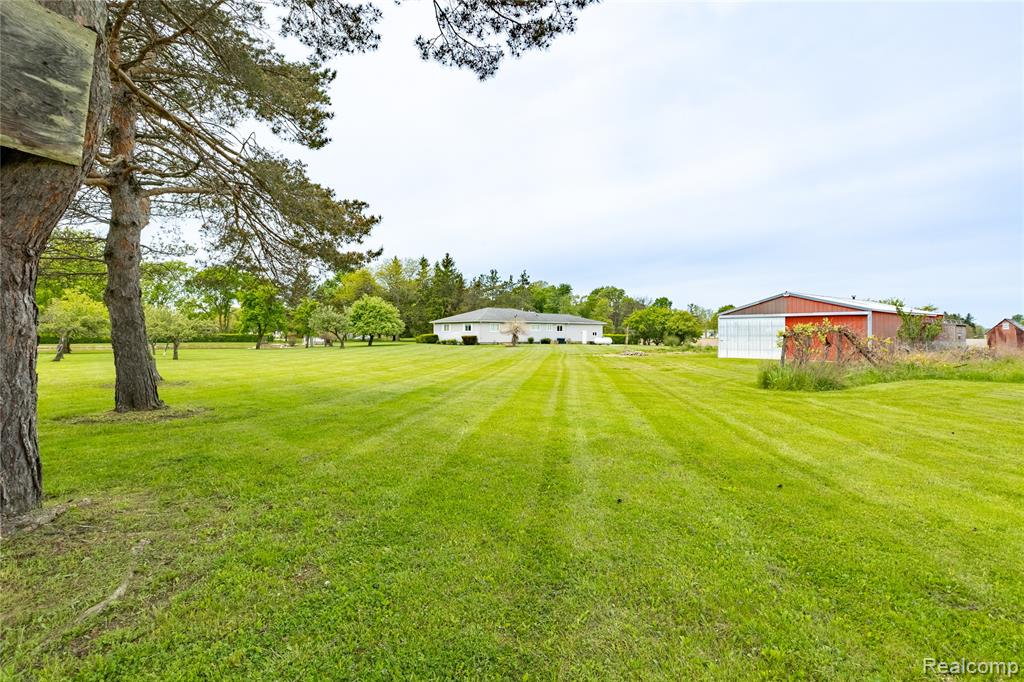 2580 Miller Road, Riley, MI — Photo 2