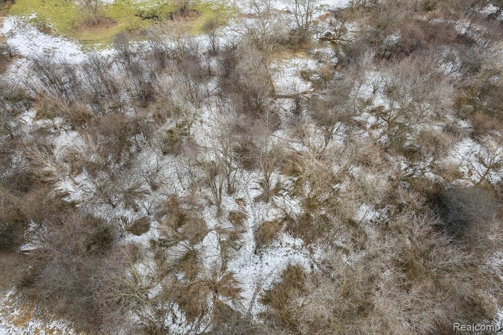 V/L BLAKE Road, Jackson, MI 49201 — Photo 33