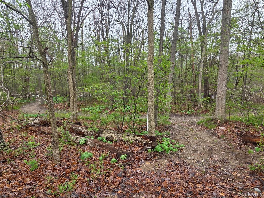 4325 Kellie Court, Howell, MI 48855 — Photo 40
