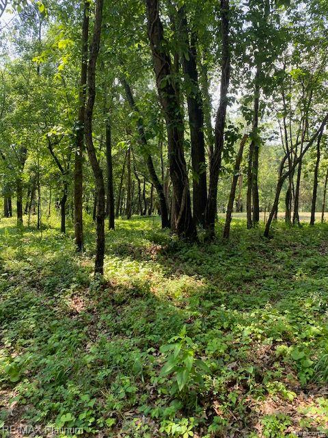6 Sleaford-Parcel 6 - 2.1 Acres Road, Howell, MI 48843 — Photo 31