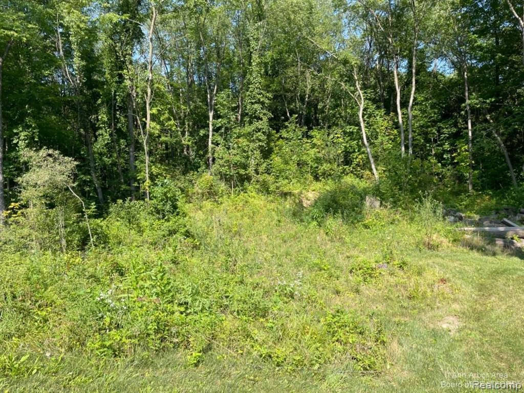 VL Denton Hills Road, Fenton, MI 48430 — Photo 9