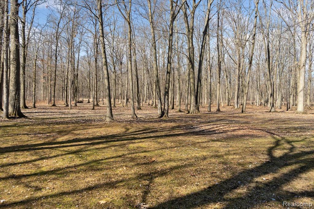 6730 FORT Road, Birch Run, MI 48415 — Photo 8