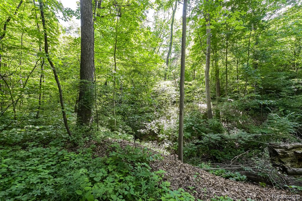 3376 Oak Park Drive, Saline, MI 48176 — Photo 71