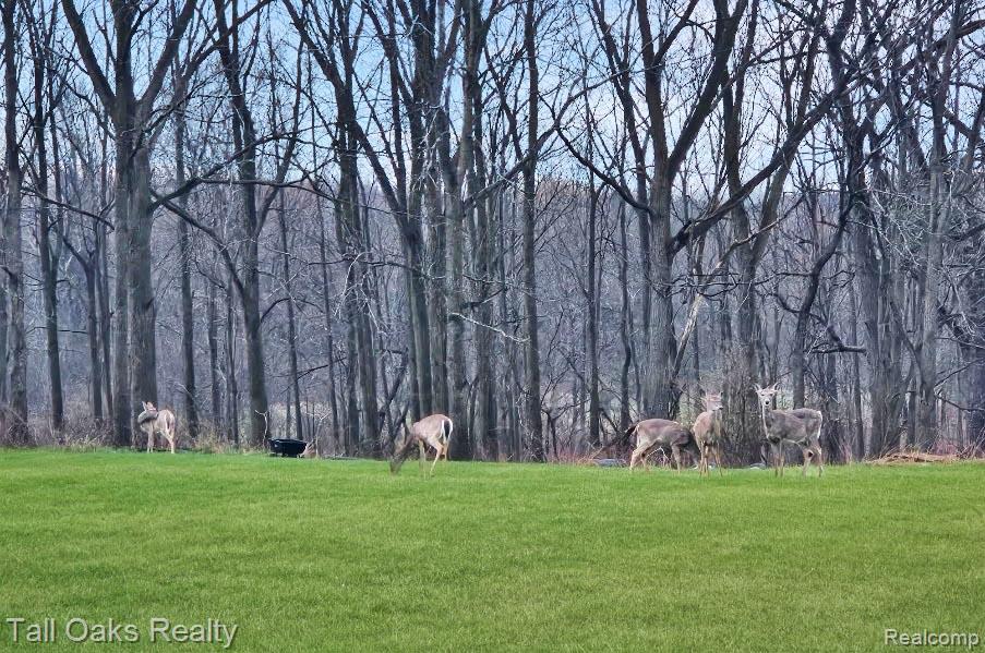 9198 Hegel Road, Goodrich Vlg, MI — Photo 12