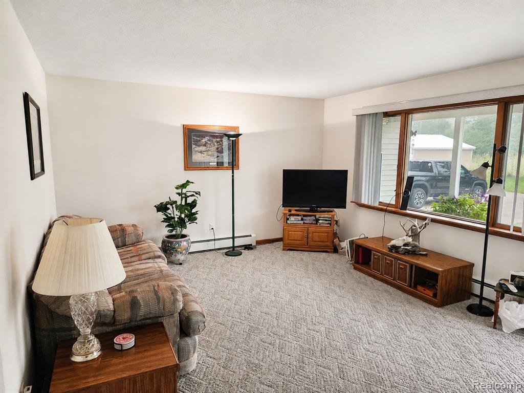 11183 Wolf Road, Johannesburg, MI 49751 — Photo 11