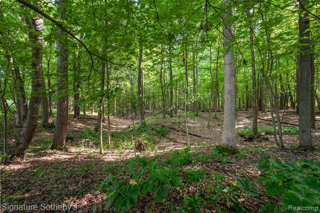 3915 McGinnis Road, Holly, MI 48442 — Photo 29