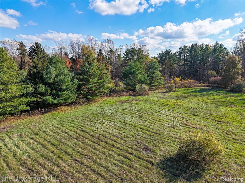 VL Janna Leigh Drive, Otter Lake, MI 48464 — Photo 2