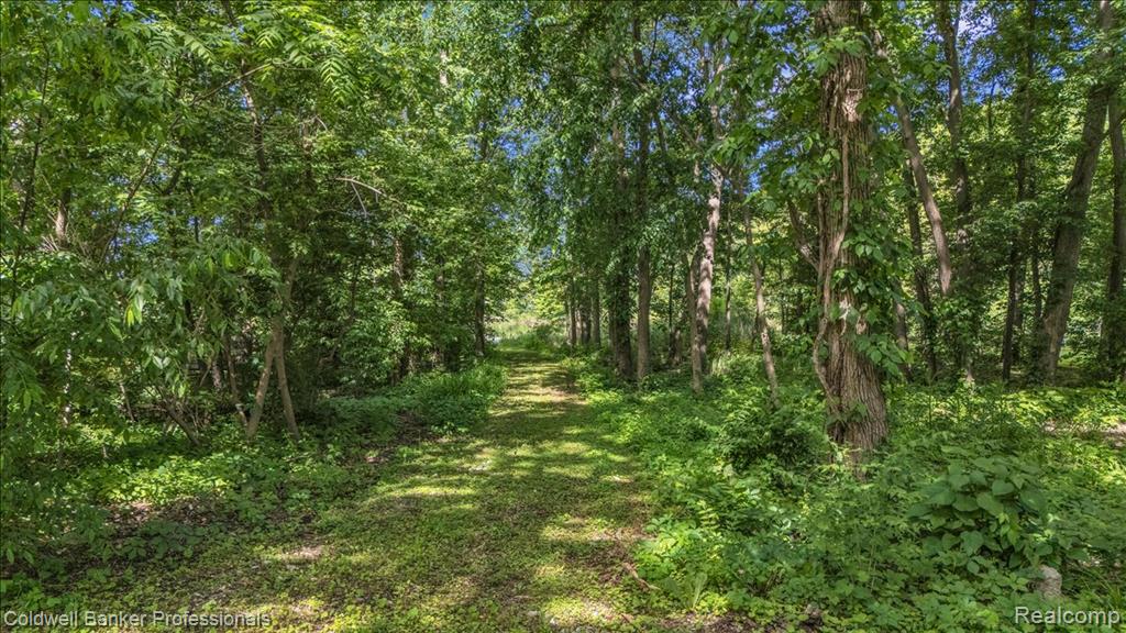 76107 Van Dyke Road, Romeo, MI 48065 — Photo 38