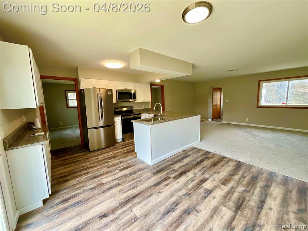 5464 Hollow Corners Road, Dryden, MI 48428 — Photo 34