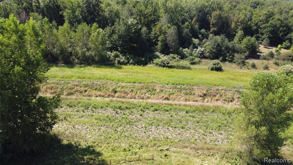 22735 Ederer Road, Merrill, MI 48637 — Photo 30
