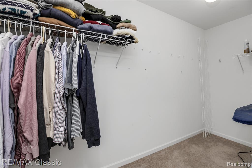 9109 WHITE TAIL, Ypsilanti, MI 48197 — Photo 29