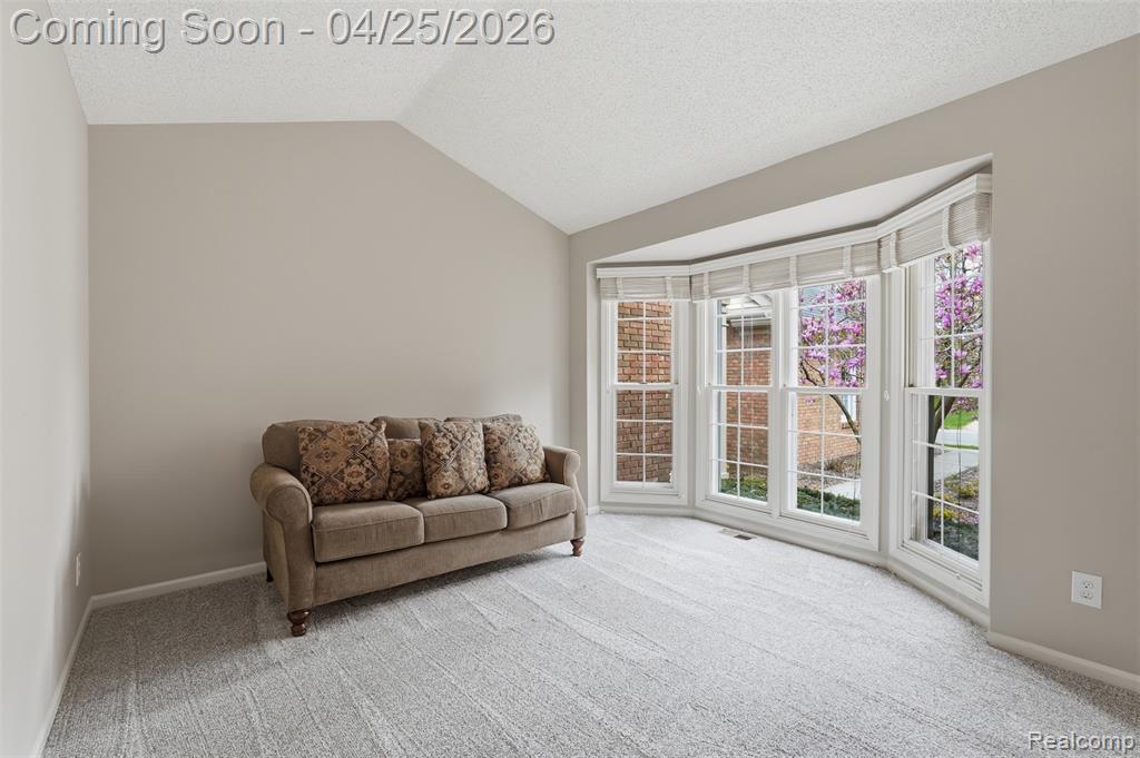 16318 Country Knoll Drive, Northville, MI 48168 — Photo 19
