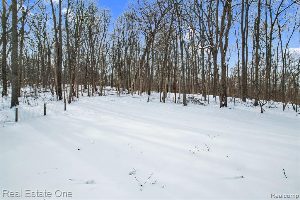 195 Corey Lane, Ortonville, MI 48462 — Photo 49