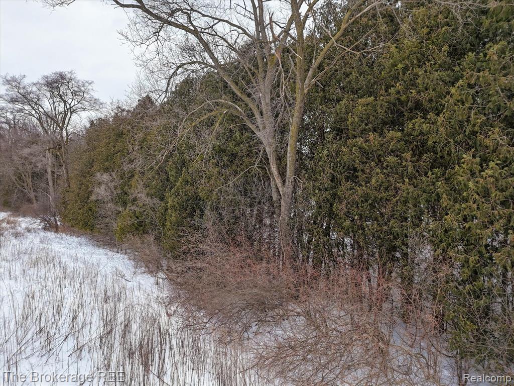 S Gera Rd, Birch Run, MI 48415 — Photo 12