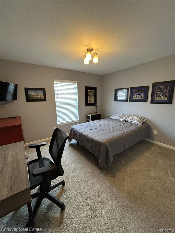 6031 HOLT Road, Holt, MI 48842 — Photo 20