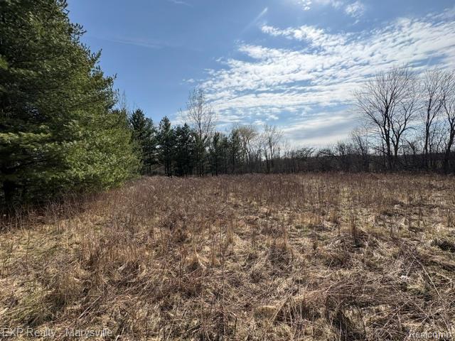 6919 Emmett Road, Brockway, MI 48097 — Photo 10