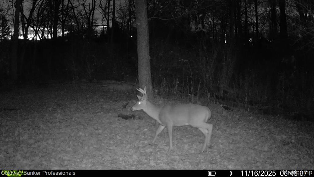 VL Rattle Run Road, St. Clair, MI 48079 — Photo 2