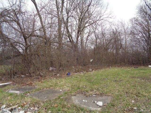 1749 COLLINGWOOD Street, Detroit, MI 48206 — Photo 8
