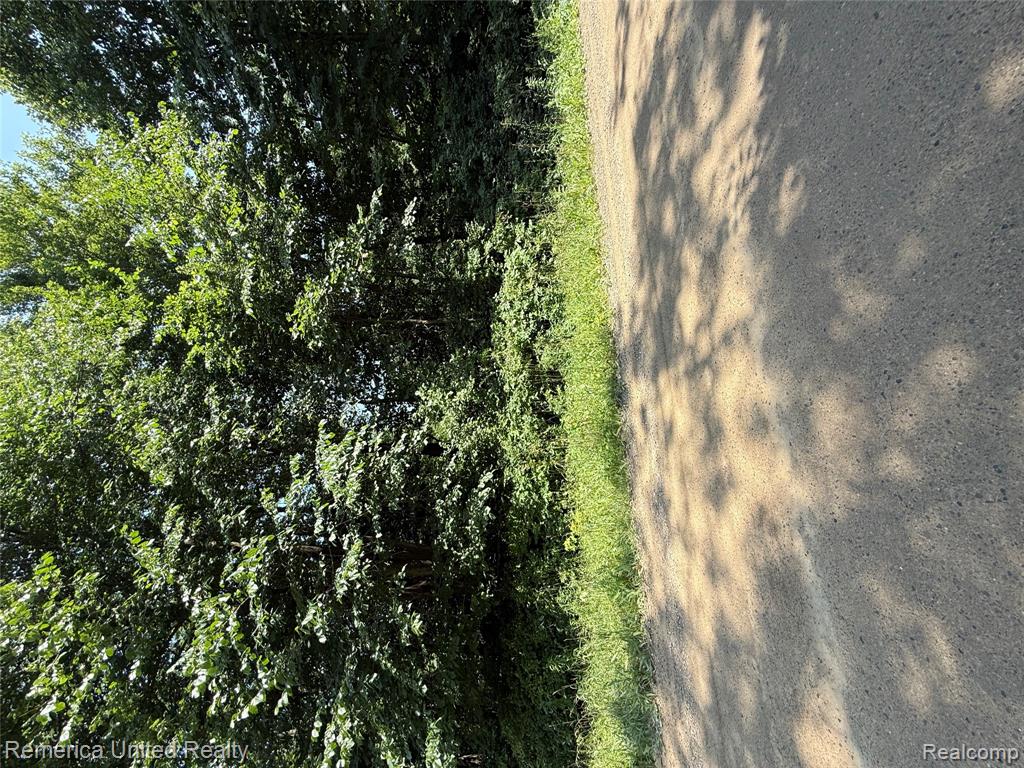 5550 Fisher Road, Howell, MI 48855 — Photo 9