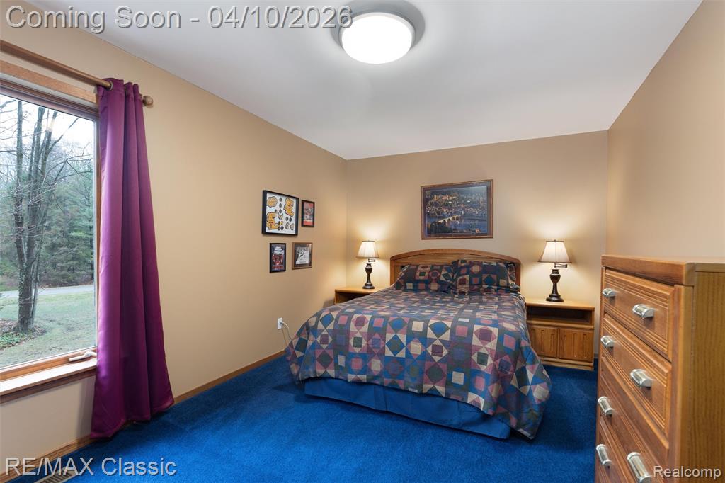 28085 Marcellus Drive, South Lyon, MI 48178 — Photo 38