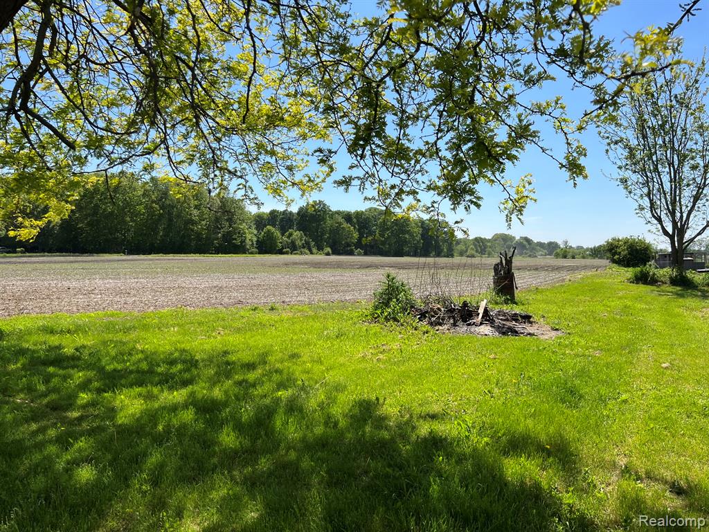 1464 S Force Road, Attica, MI 48412 — Photo 7