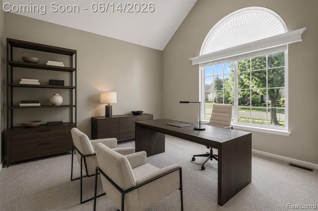 47920 Vistas Circle Drive N, Canton, MI 48188 — Photo 8