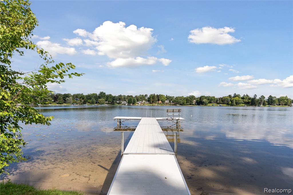 1441 Remsing Street, Hartland, MI 48353 — Photo 56