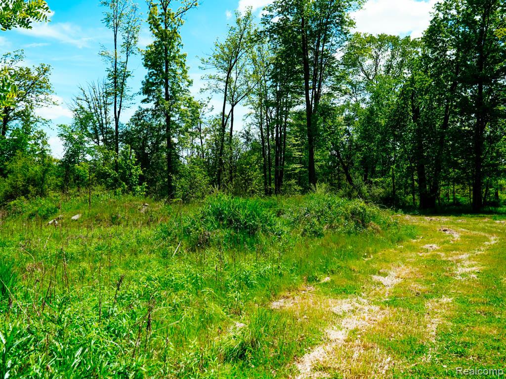 C-1 DOA Lane, Brighton, MI 48114 — Photo 5
