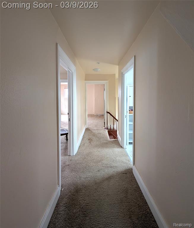 1415 Baldwin Street, Detroit, MI 48214 — Photo 20