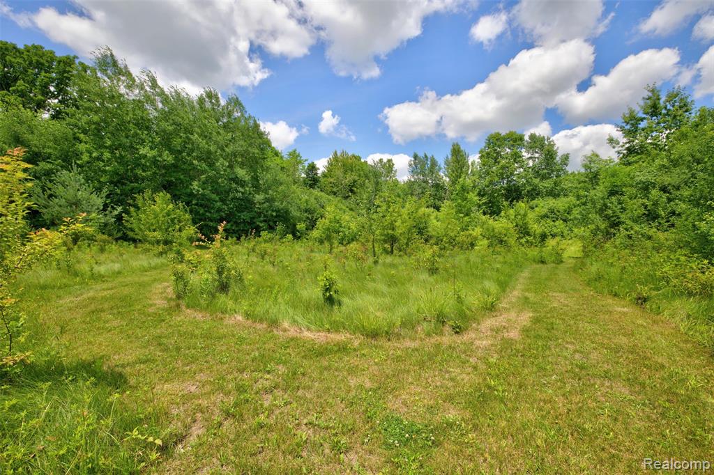 5244 Oleksyn Road, Flint, MI 48504 — Photo 59