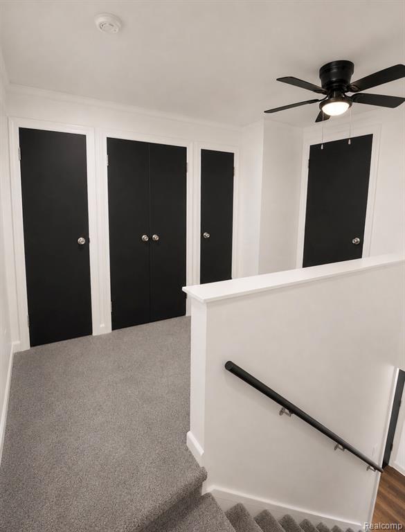 19750 Braile Street, Detroit, MI 48219 — Photo 13